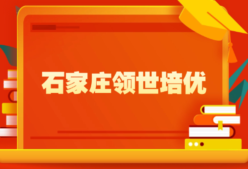 2025年石家莊領世培優(yōu)收費標準更新一覽