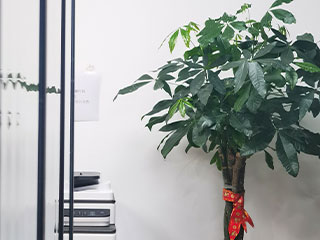 上海立茲教育環(huán)境圖片