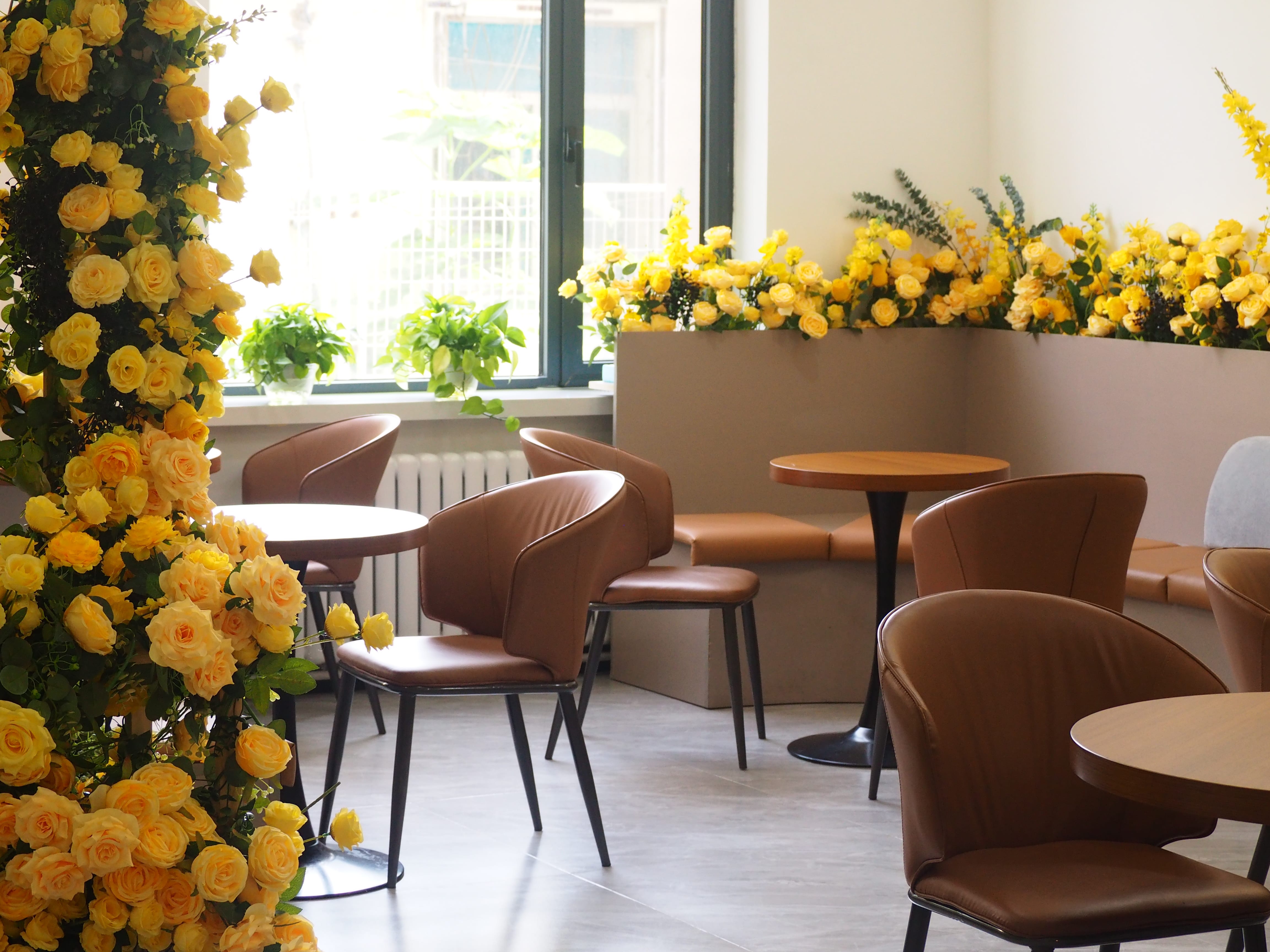 大連白鯨公考環(huán)境圖片