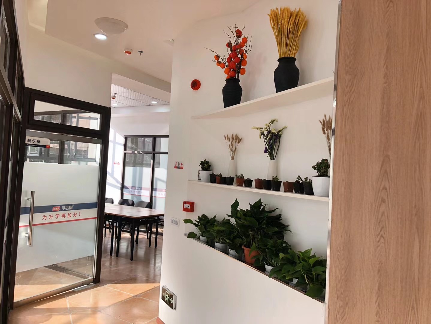 金东方教育环境图片