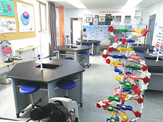 北外同文外国语学校环境图片