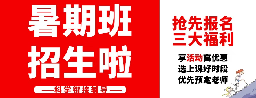 迪诺教育banner