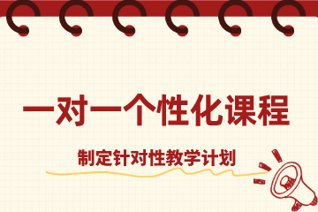 成都赢星一对一个性化课程