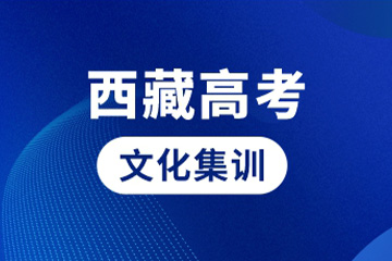 成都成实外培训学校成都成实外西藏高考文化集训班图片