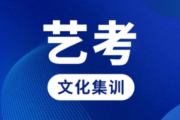 成都成实外培训学校成都成实外艺考生文化课集训班图片