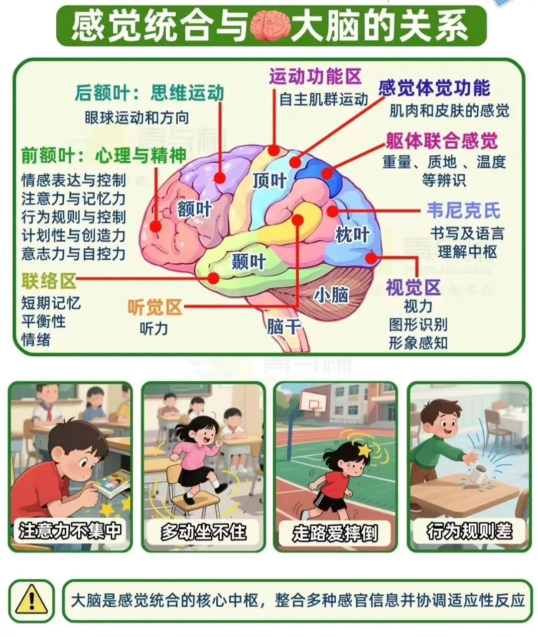 征服者感统专注力训练课程