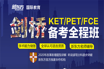 深圳新东方英语深圳PET课程辅导图片