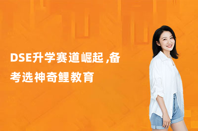 DSE升学赛道崛起,备考选神奇鲤教育