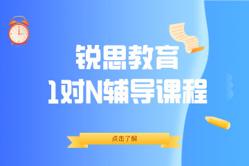 锐思教育锐思教育1对N课程图片