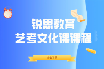 锐思教育锐思教育艺考文化课辅导图片