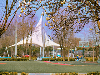 北京市博文学校环境图片