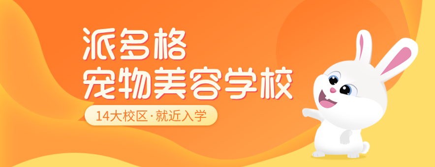 武汉派多格宠物美容学校