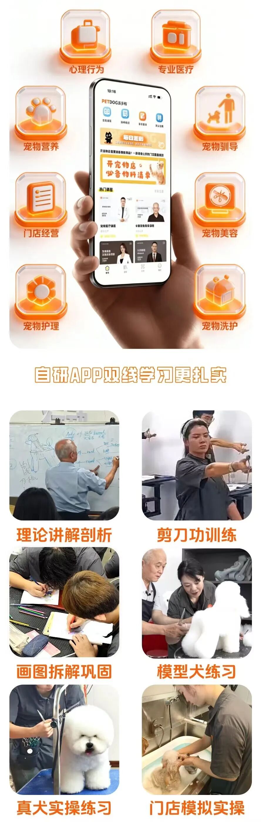 武汉派多格3周宠物美容师课程
