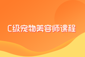 武汉派多格宠物美容学校武汉派多格C级宠物美容师课程图片