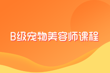 济南派多格B级宠物美容师课程