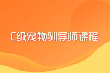派多格宠物美容学校派多格C级宠物驯导师课程图片