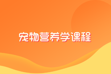 派多格宠物美容学校派多格宠物营养学课程图片