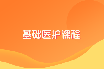 派多格宠物美容学校派多格基础医护课程图片