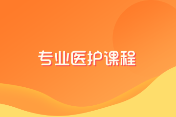派多格宠物美容学校派多格专业医护课程图片