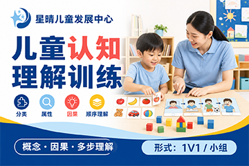 星晴儿童发展中心儿童认知理解训练课程图片