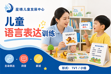 星晴儿童发展中心儿童语言表达训练课程图片