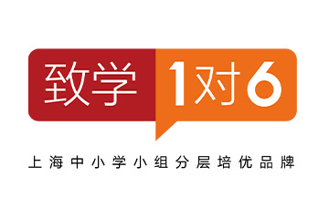 上海致学教育王老师老师