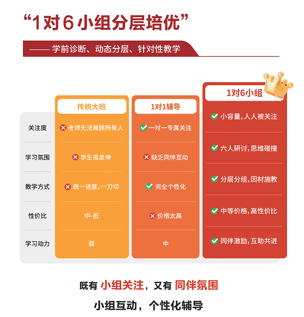 上海致学教育致优组