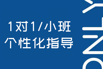昂立出国1对1/小班个性化指导图片