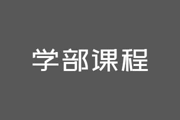 藝和日本艺术留学学部课程