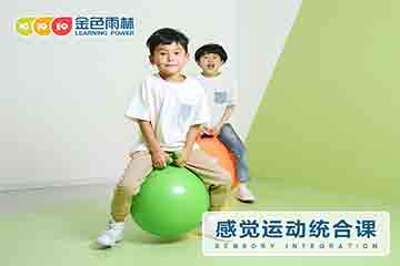 泉州金色雨林感统早教课程