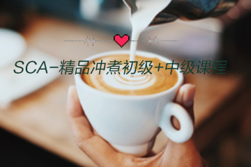 广州SCA‑精品冲煮初级 + 中级课程