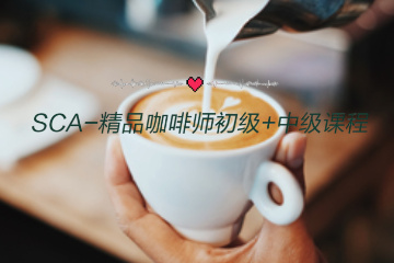 广州SCA‑精品咖啡师初级 + 中级课程
