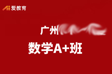 广州个性化数学A+班