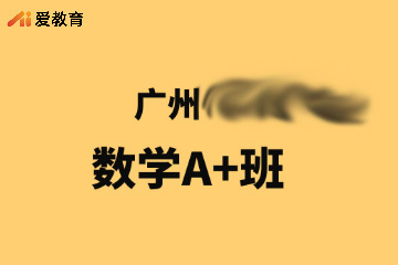 广州数学辅导A+班