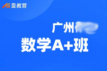 广州数学辅导A+班