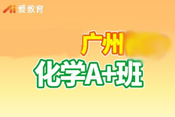 广州化学辅导A+班