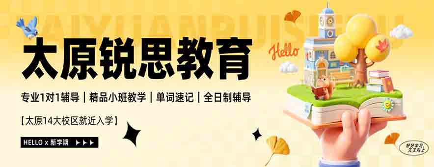 太原锐思教育