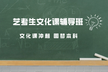 天津艺考生文化课辅导班