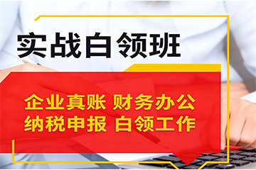 重庆实战白领班