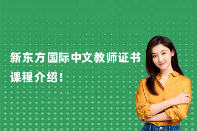 新东方国际中文教师证书课程介绍!