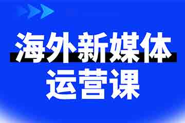 深圳霸导实战电商培训霸导海外新媒体运营班图片
