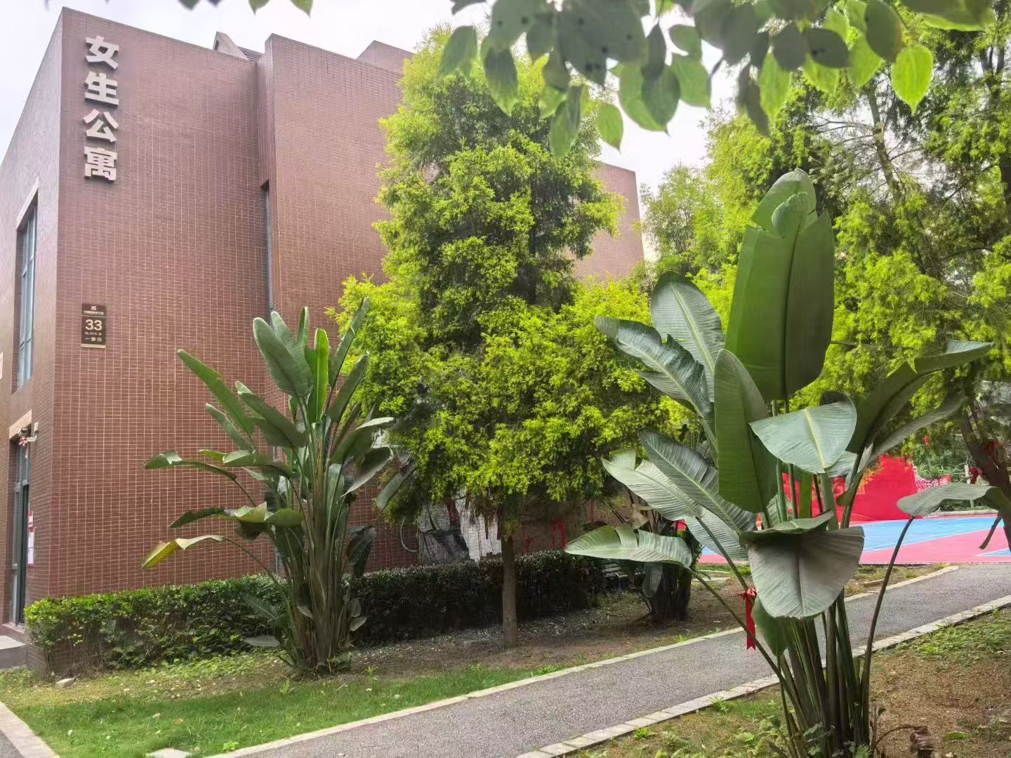 成都美思单招培训学校环境图片
