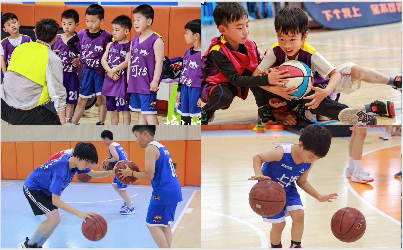 2026上海青少年体育培训深度测评:3-12岁球类运动选课全维度横评