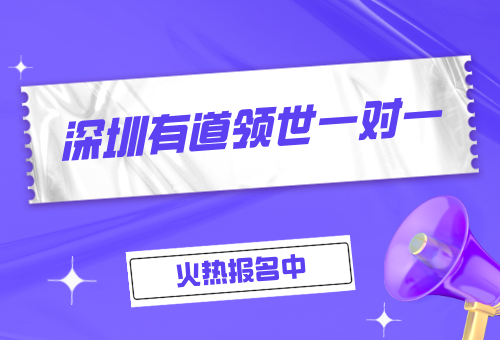 深圳高中数理化一对一辅导——深圳有道领世一对一招生啦!