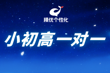 精优个性化小初高一对一课程
