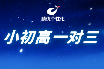 深圳精优个性化教育精优个性化小初高一对三课程图片