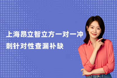 上海昂立智立方一对一冲刺针对性查漏补缺