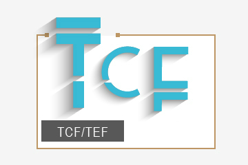 上海爱法语TCF/TEF考试强化课程图片