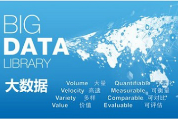上海昂立IT职业教育大数据管理专家图片