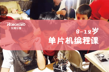 上海乐博乐博机器人上海乐博单片机机器人课程（8-12岁）图片